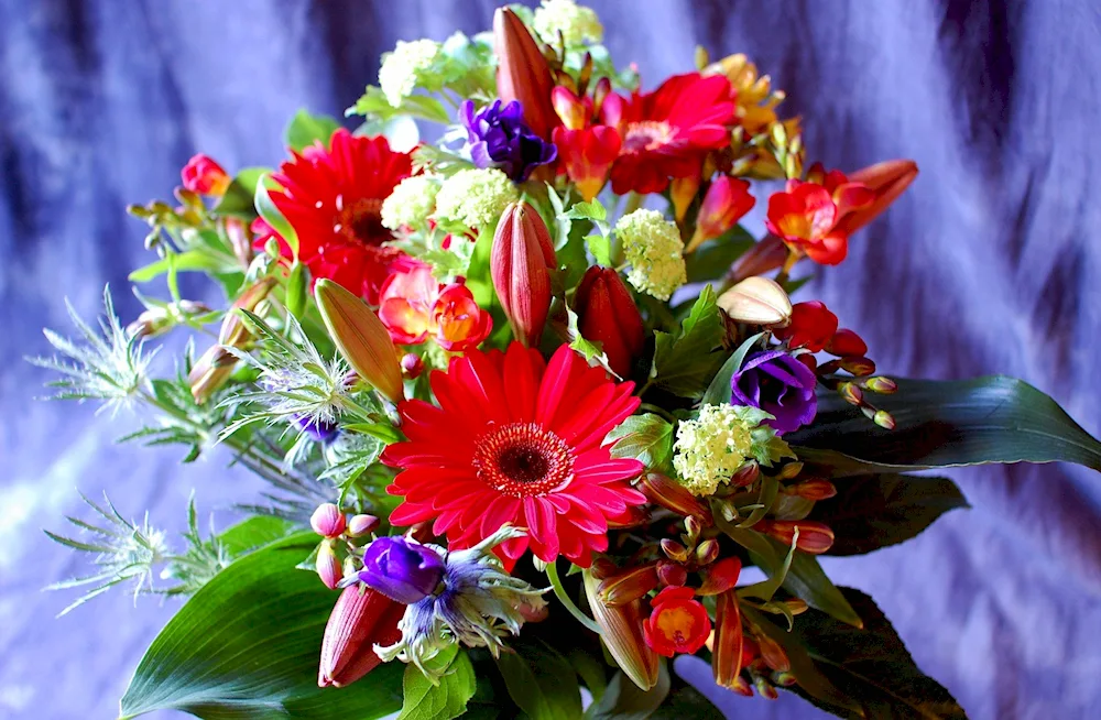 Beautiful bouquet of flowers