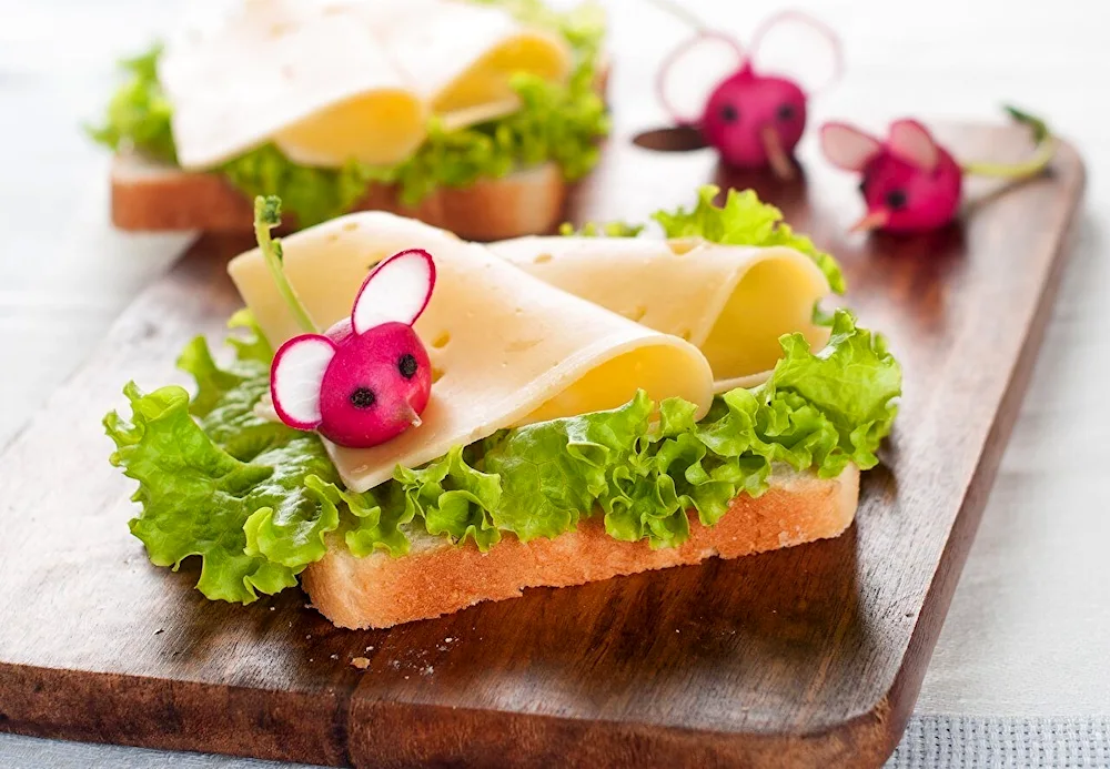 Beautiful cheese sandwich