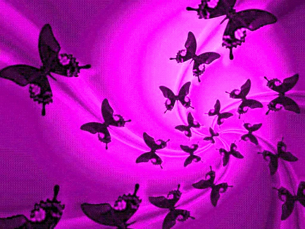 Beautiful background with butterflies