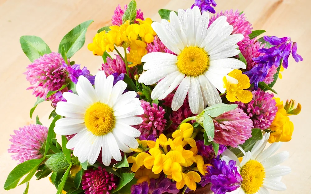 Flowers daisies cornflowers forget-me-nots bouquet