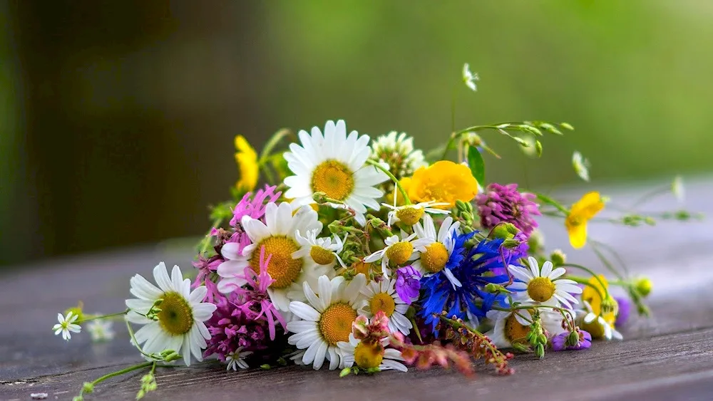 Beautiful summer bouquet