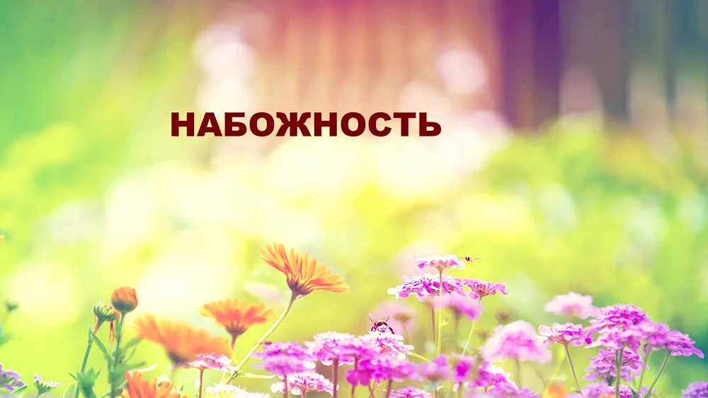 Beautiful summer background