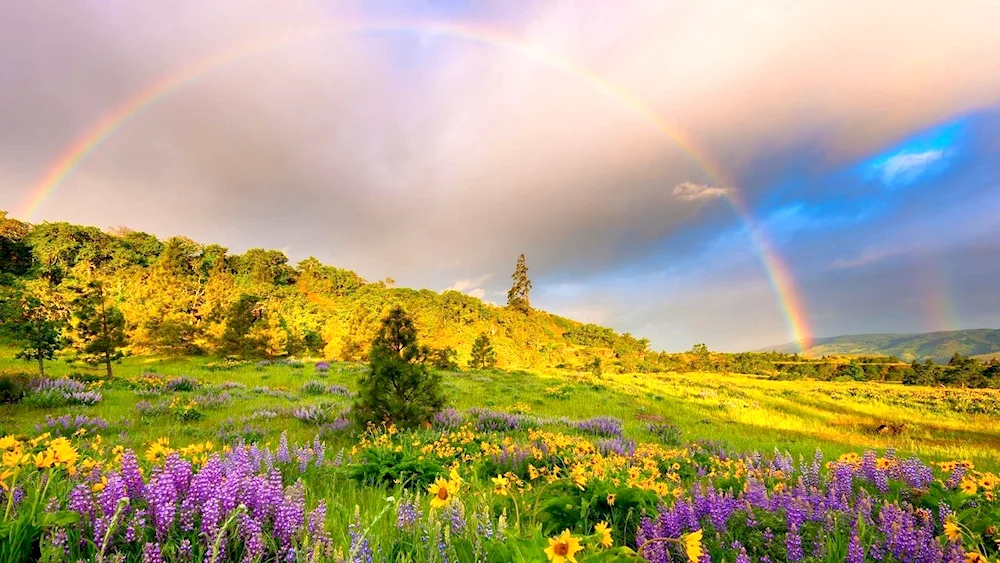 A multicoloured rainbow