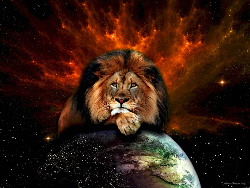 Fiery Lion