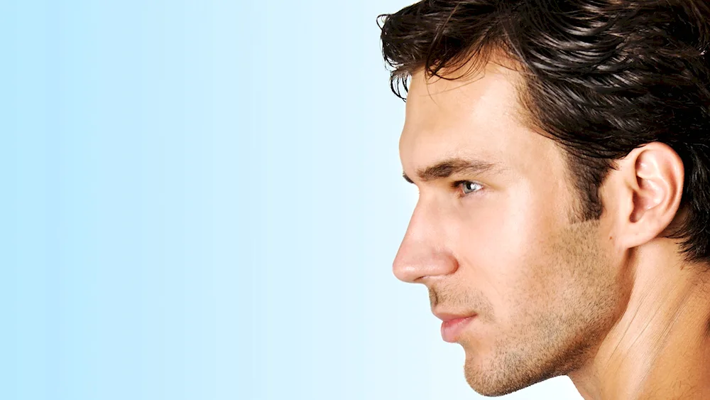 Beautiful male nose