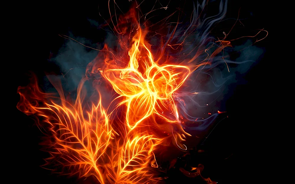 Phoenix free fire