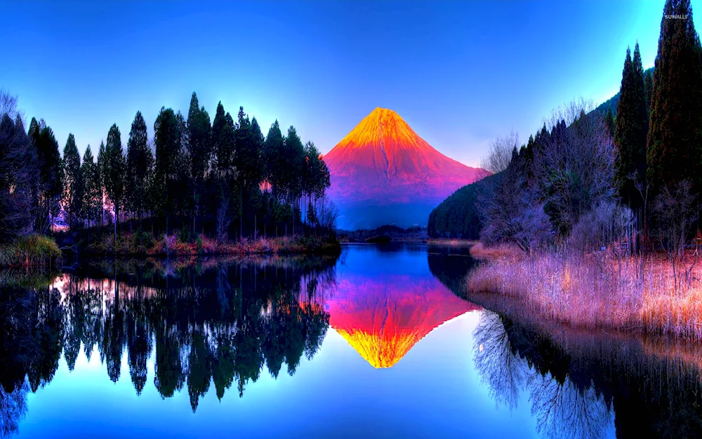 Beautiful landscape