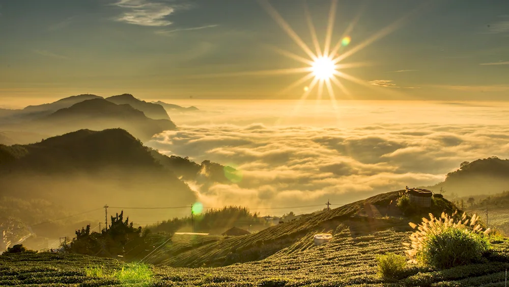 Beautiful sunrise