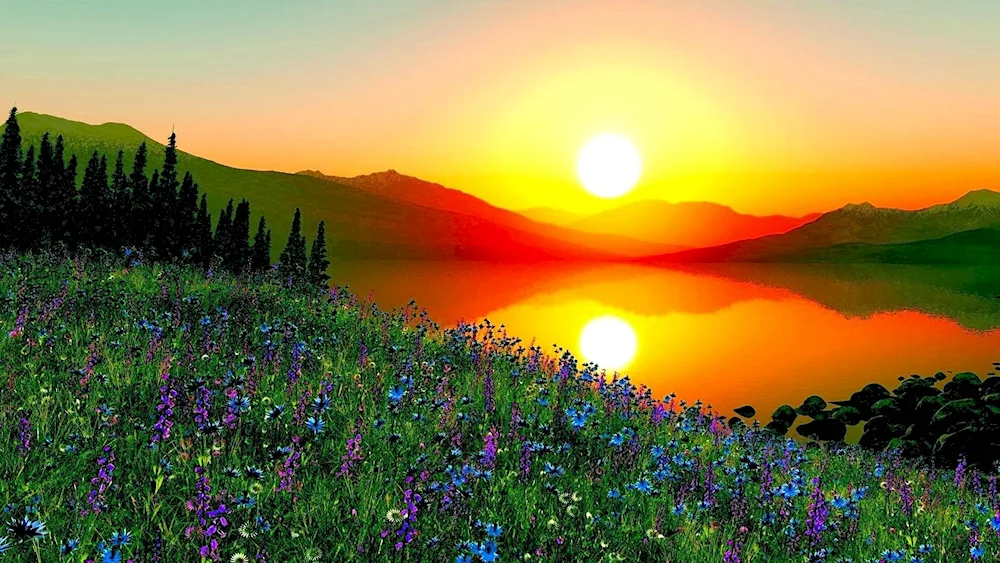 Beautiful sunrise