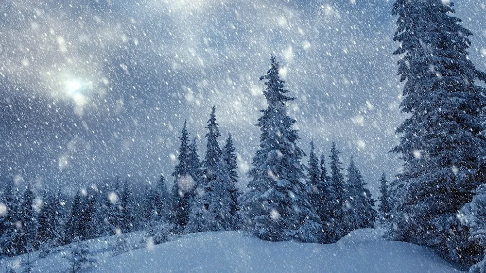 Beautiful snowfall