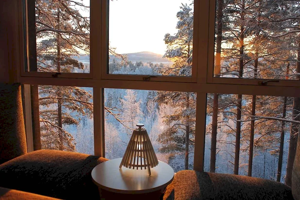 Winter window view