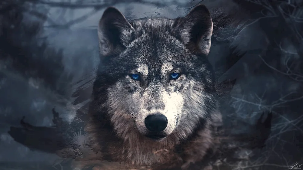 Beautiful wolf