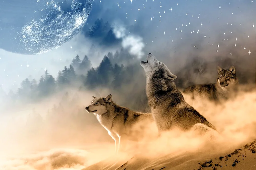 Wolf fantasy