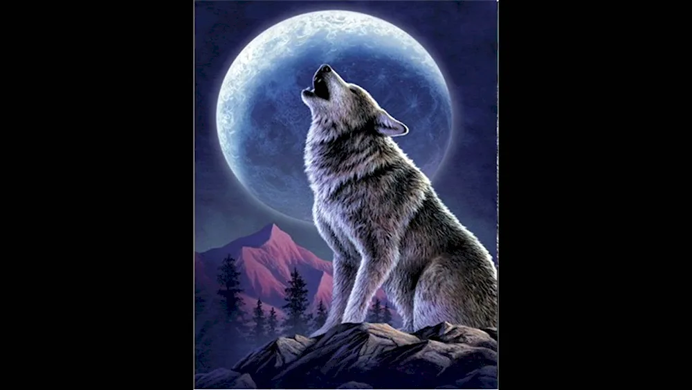 Wolf howling at the moon