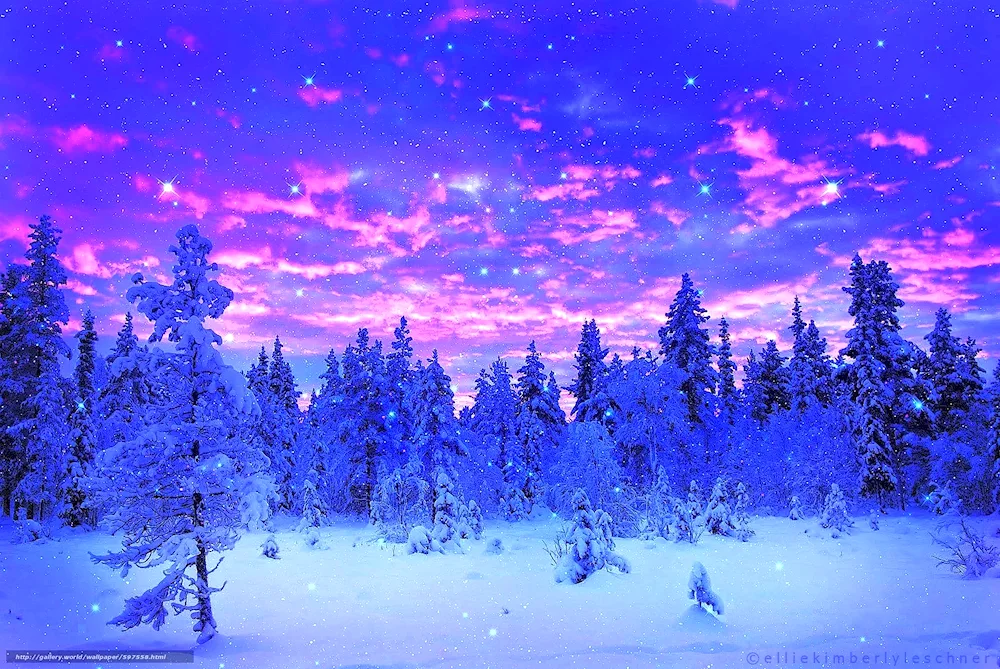 Beautiful winter forest