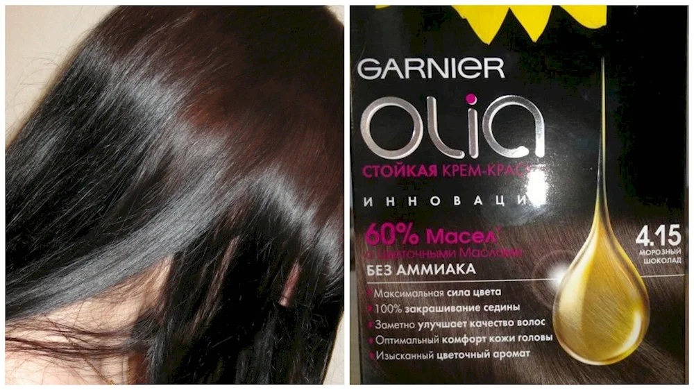 Garnier Olia Hair Colour 4.15