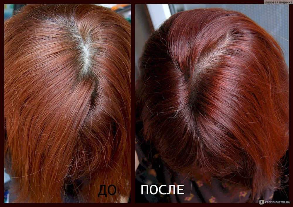 Cinnamon hair dye