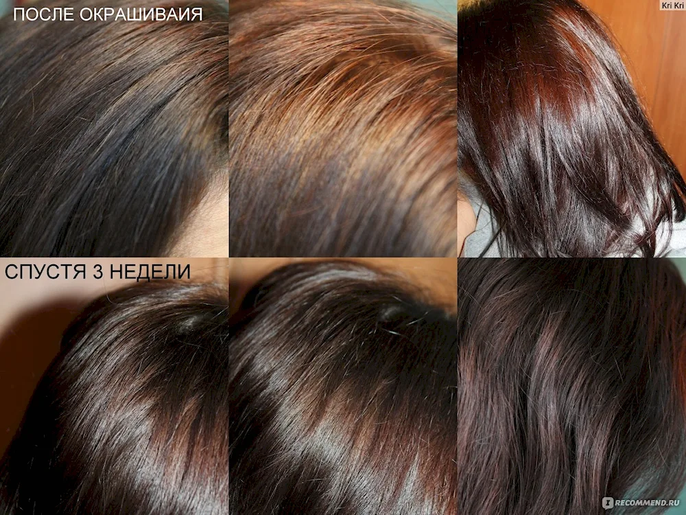 Matrix hair colour 6nw