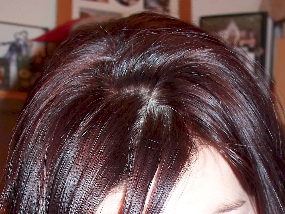 Mocha Brown hair colour