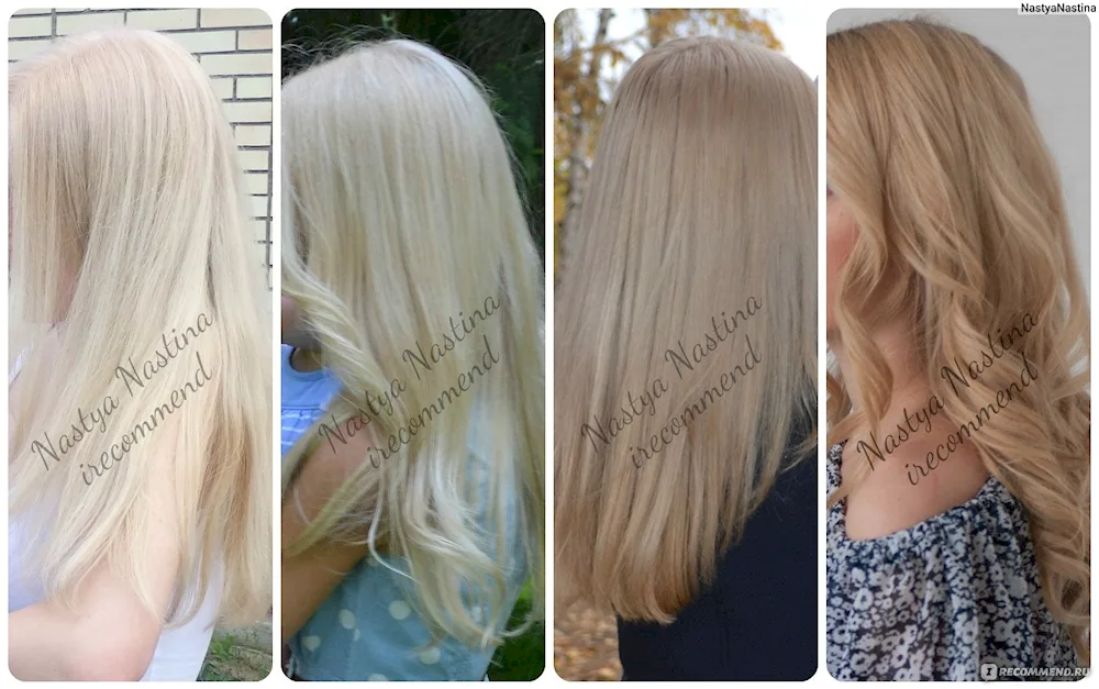 Estelle Cold Beige Blonde dye