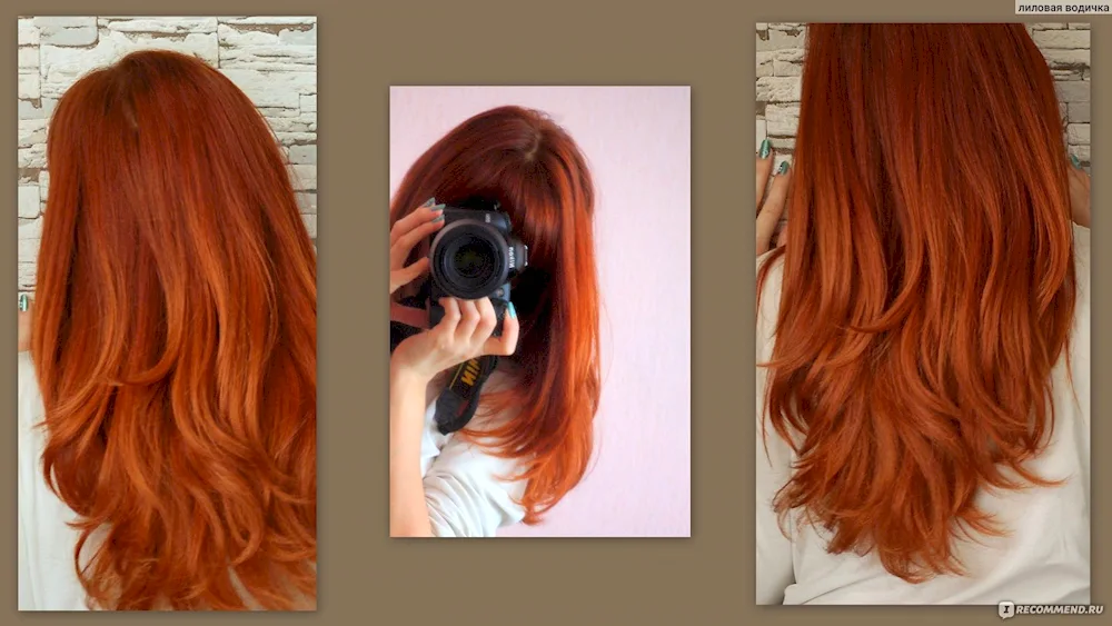 Estel hair dye red shade palette