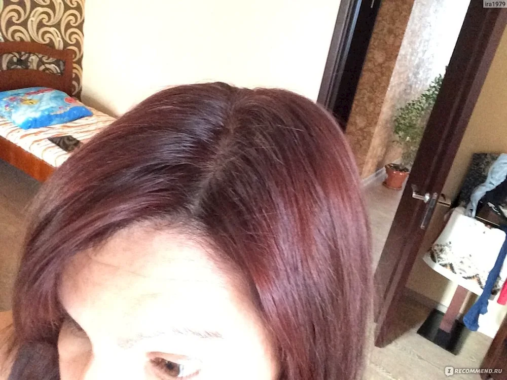 Fitokolor mahogany colour