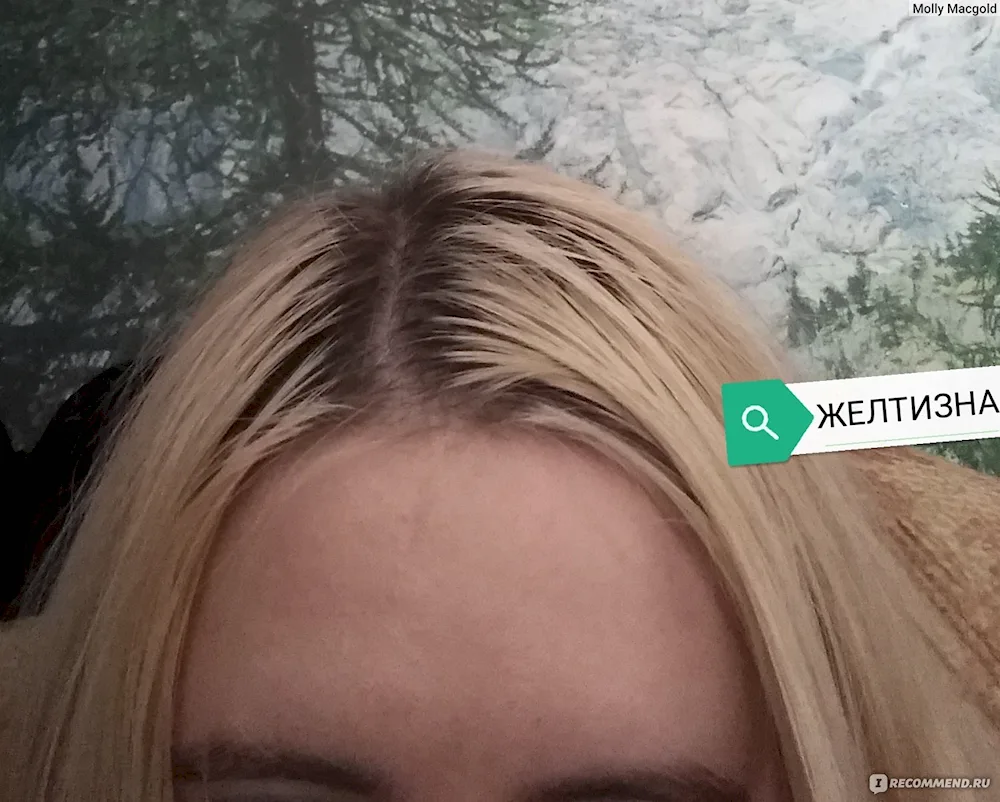 Garnier 111 platinum blonde