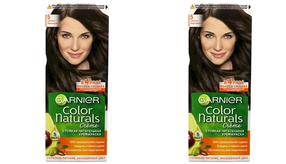 Garnier hair dye 5 light chestnut