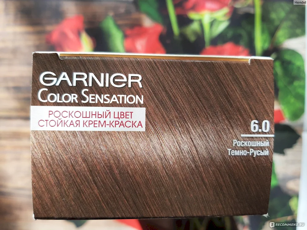 Garnier hair colour 6. 0