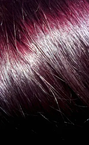 Garnier Burgundy Hair Colour