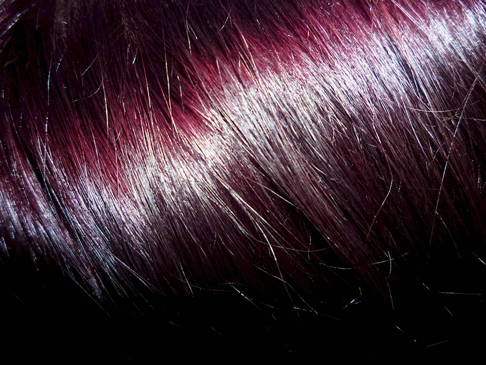 Garnier Burgundy Hair Colour