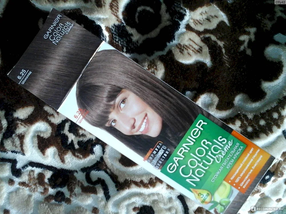 Garnier Frosty Chestnut