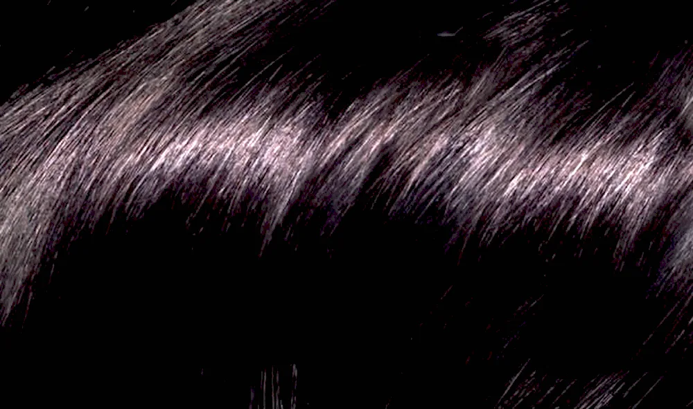 Beautiful hair colour