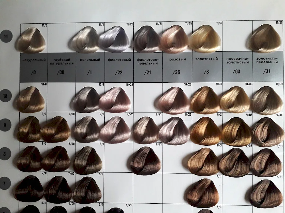 Ollin colour palette