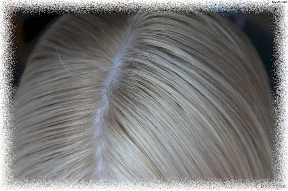 Prestige Arctic blond dye