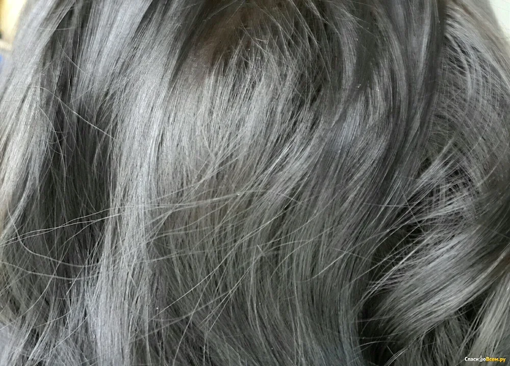 Schwarzkopf ash shades