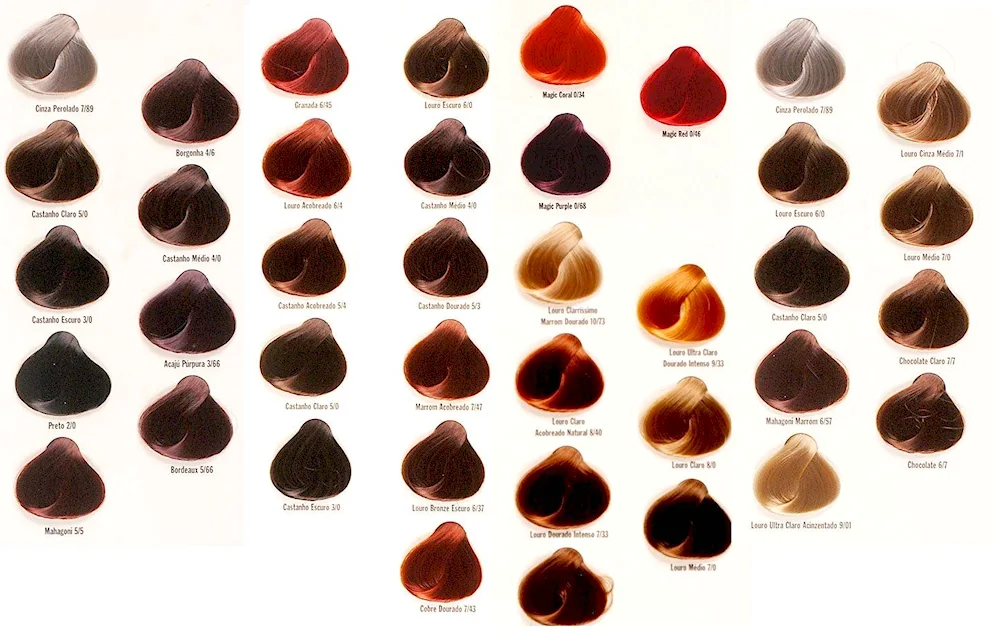 Palette Loreal Majirel