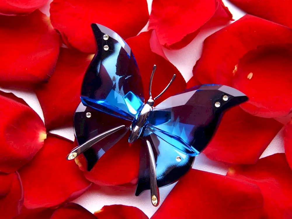 Black Cardinal butterfly