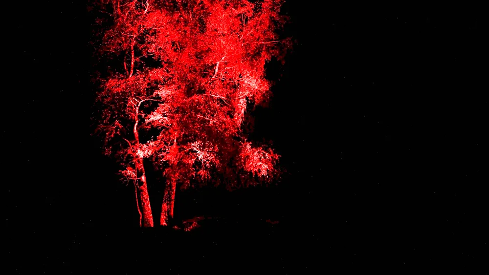 Red tree