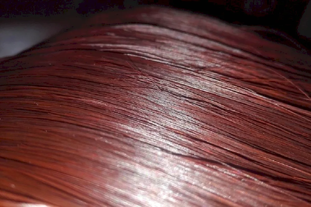 Red mahogany