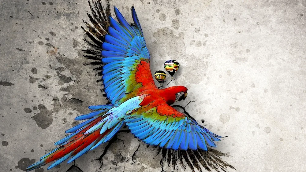 Parrot blue yellow