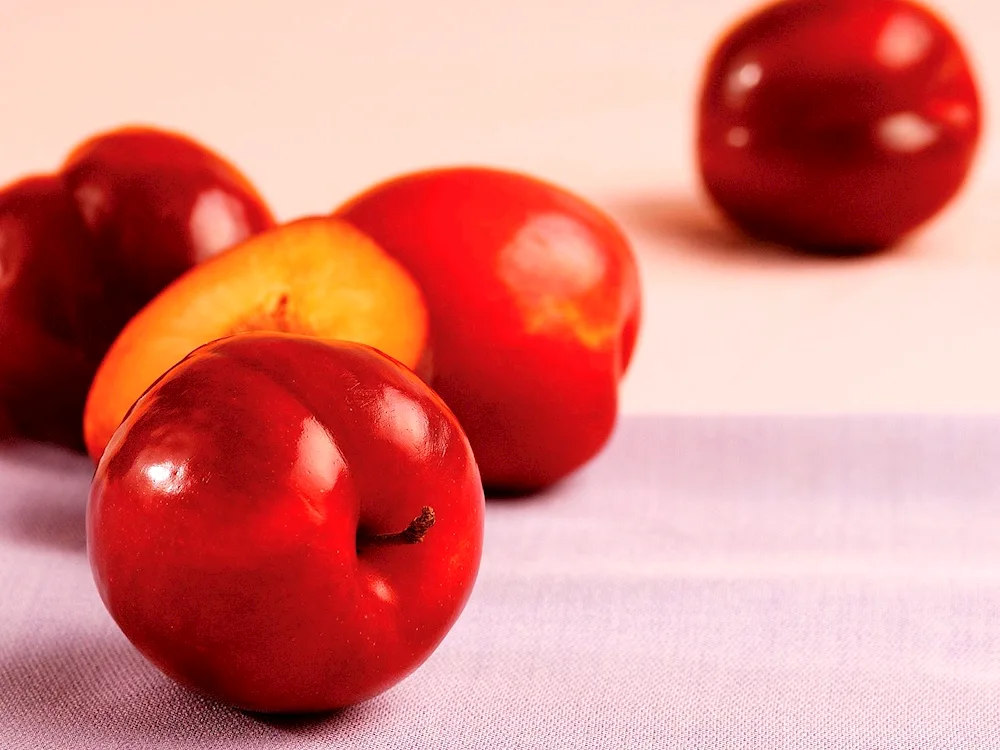 Tomato vegetables