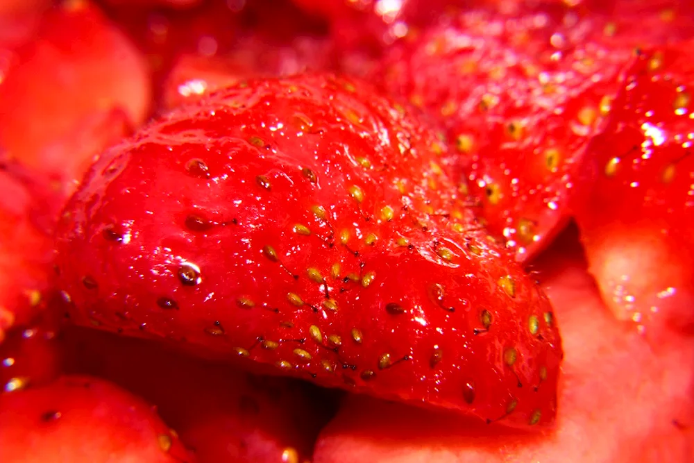 Tomato picture