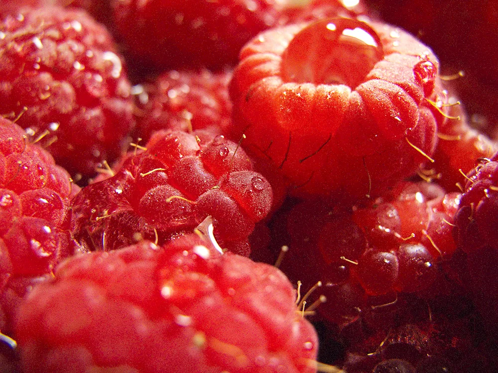 Red fruits and vegetables