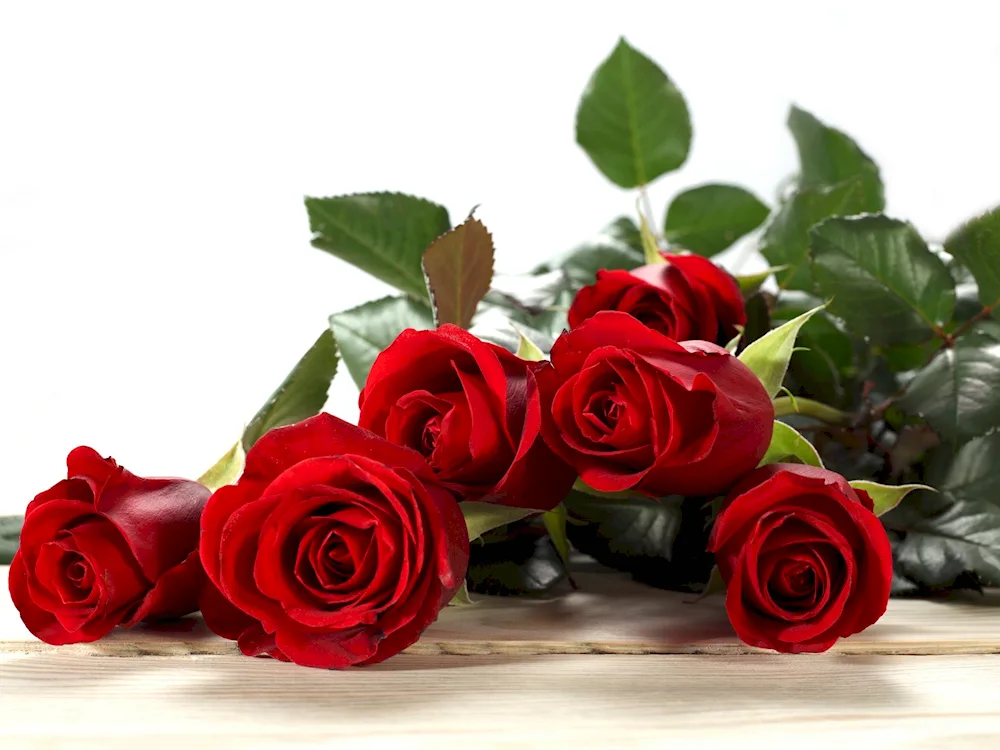 Red roses