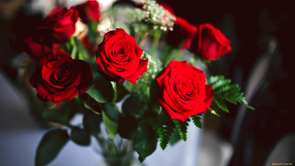 Red roses