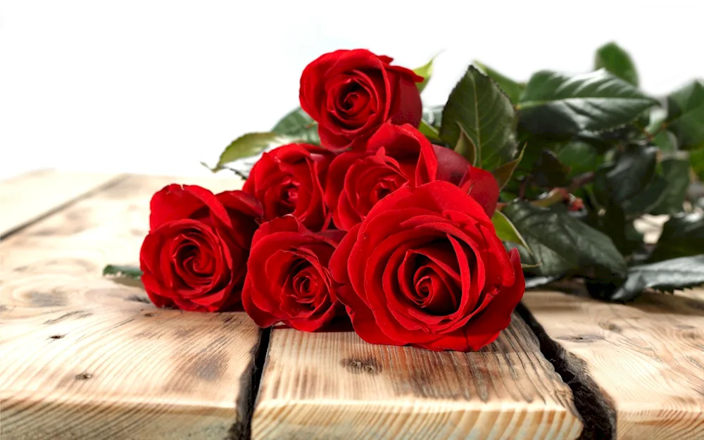 Red roses