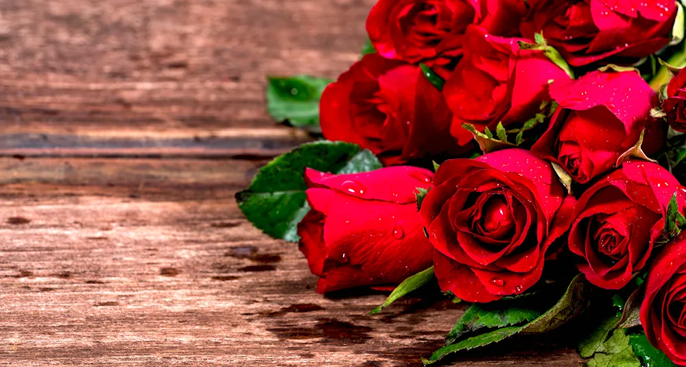 Beautiful Roses
