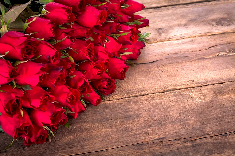 Beautiful bouquet of roses
