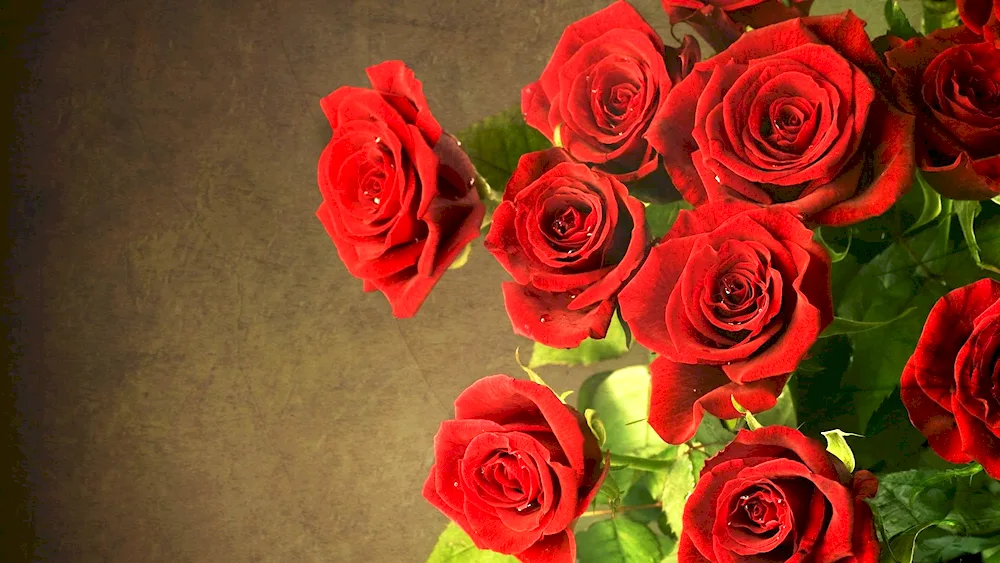 Red roses